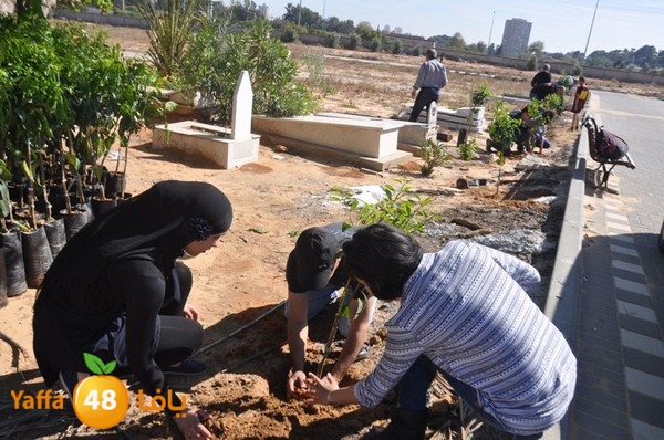 ashjar taso 0328 (13).JPG